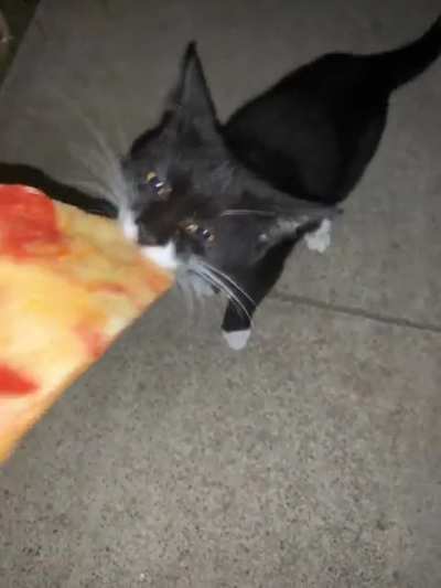 The Pepperoni Pizza Pilferer
