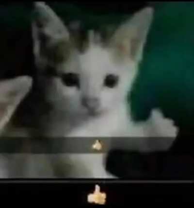 👍