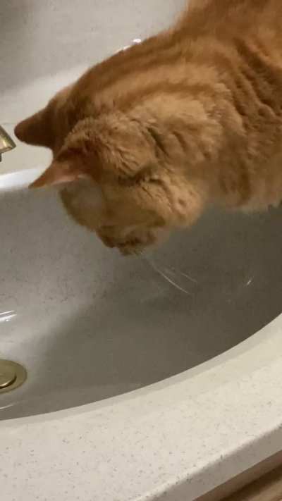 He loves to drink water here