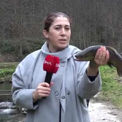 Abla napıyorsun amk tükenmemiş işte salsana hayvanı amk tükenicek elinde