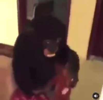 They got monkeys hittin blunts💀