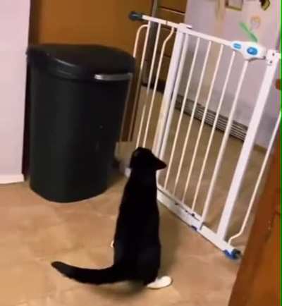 1, 2, 3,,,, and jump!