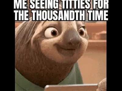 I hear Zootopia memes get likes here
