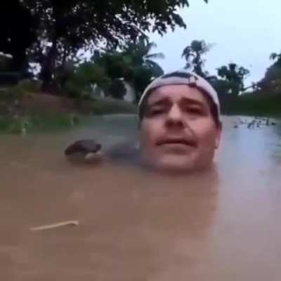 Weird looking creature comes out of water and tries to eat man (rule)