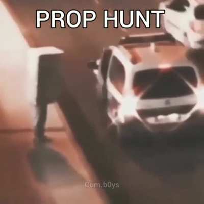 PROP HUNT