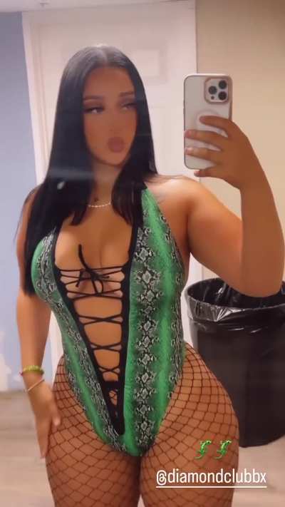 Zophier 🦎
