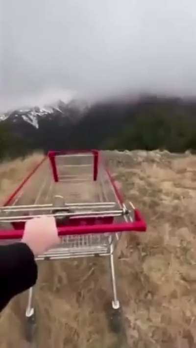 irregular cart return