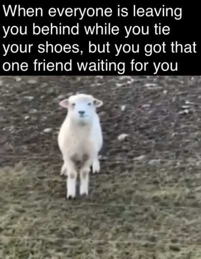 Thank you bud, appreciate it
