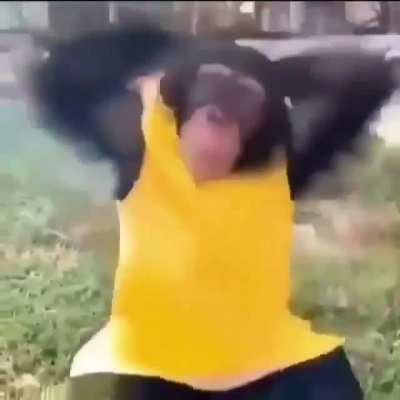 Wtf plátano tocino 2.0