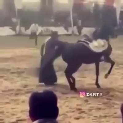 I said dance bitch