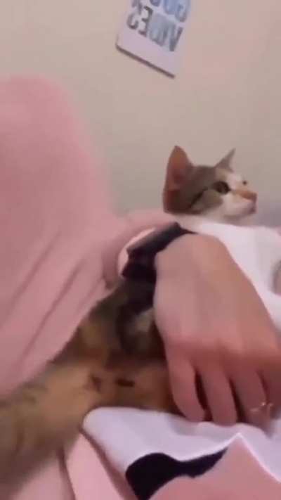 🐱👆