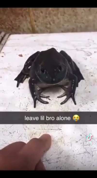 Leave him alone!