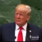 Papi Trump