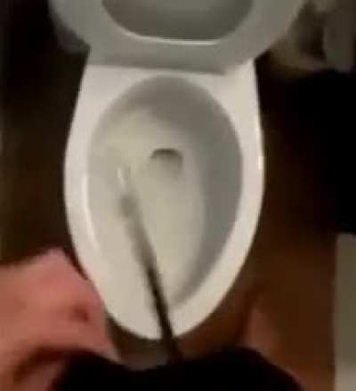 PP