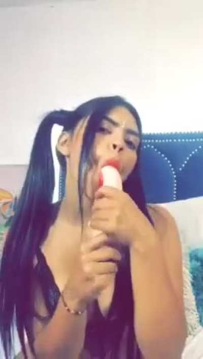 Salomedavis camsoda