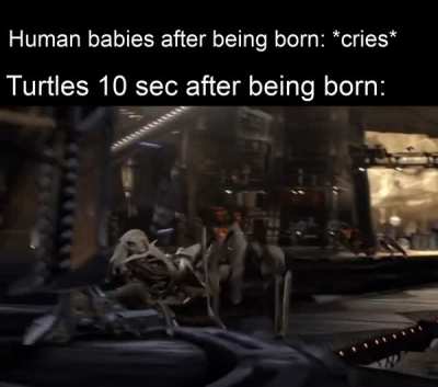 I am speed