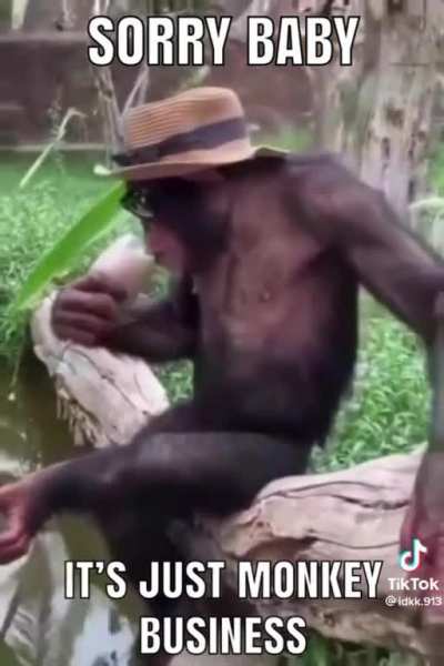 Monkey business
