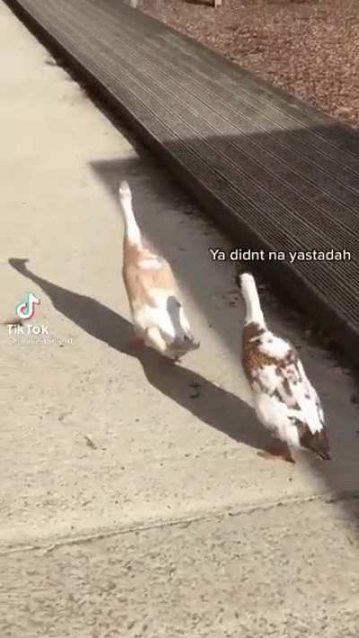 Mmmkahh