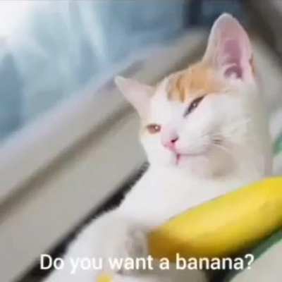 Bananananananana Wunkus