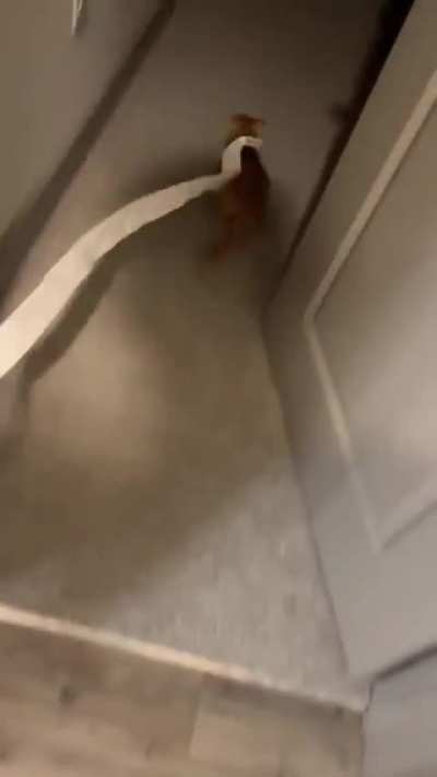 no poopy for you