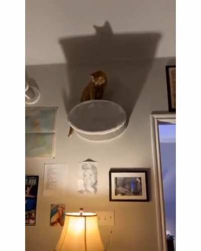 Blursed Batman