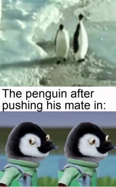 Lets hope no one saw that