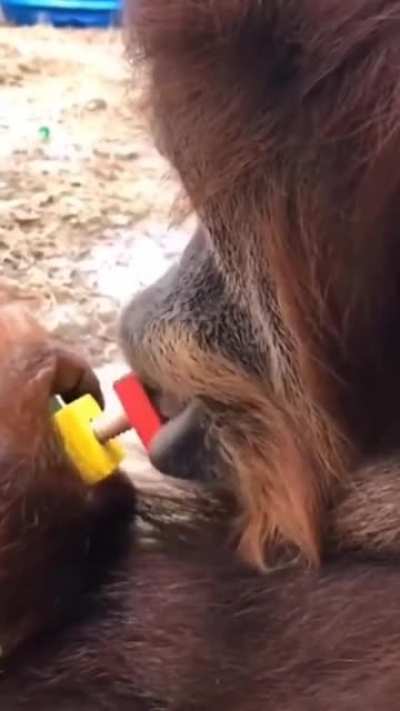 thats what lips are for