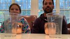 Told my nine year old I’d give her $100 if she copied exactly everything I did.