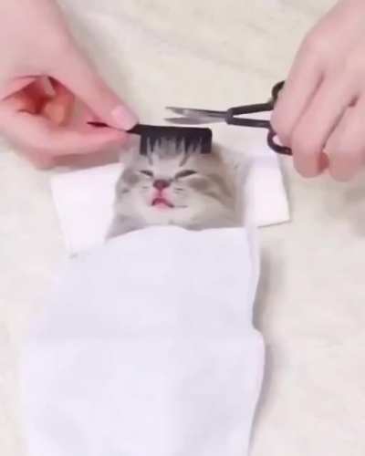 Groom me Hooman