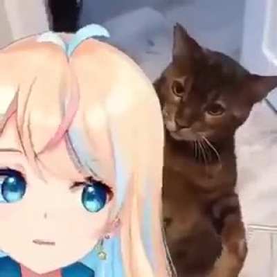 hit women