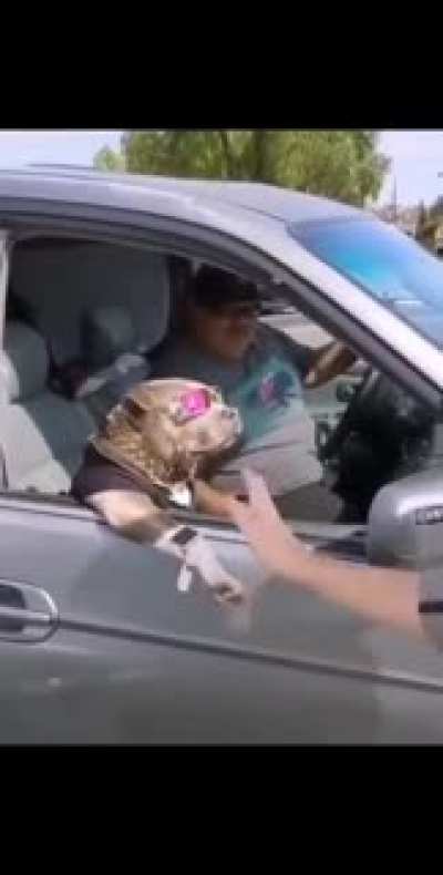 Facha máxima 🤑😎
