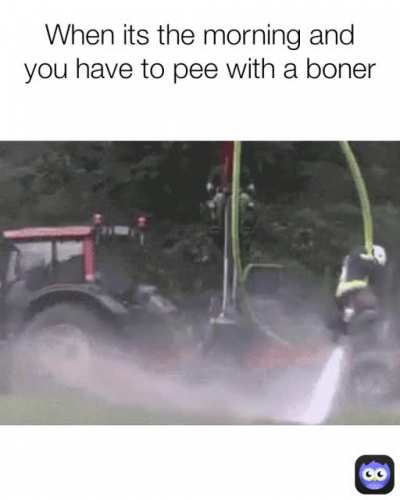 Damn you morning wood