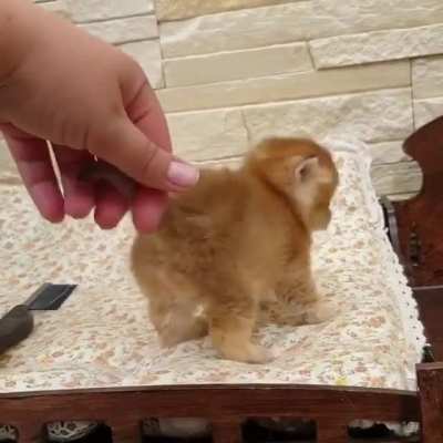 So tiny!
