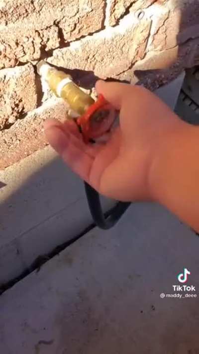 blursed_adapter