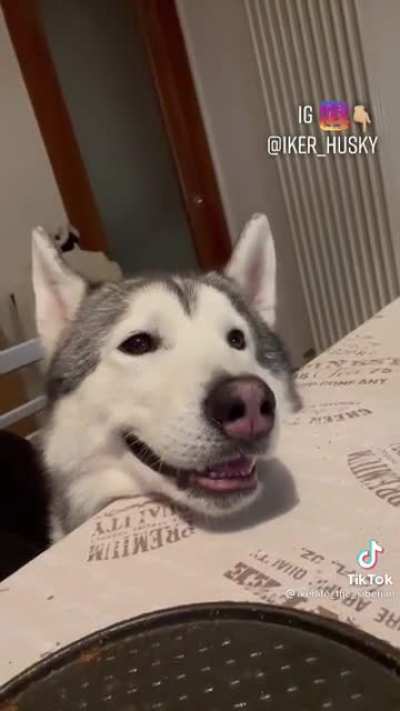 Haaaaaawaaa