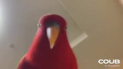 Random videolar #6