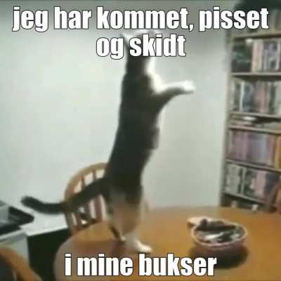 det passer!!!!