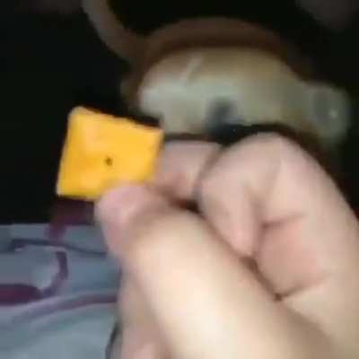 You want this foo?