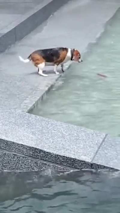 Treacherous steps
