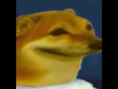 le iconic video has arrived