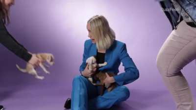 Brie with puppies