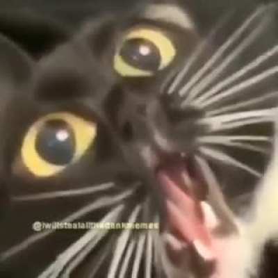 BT when Im done with it