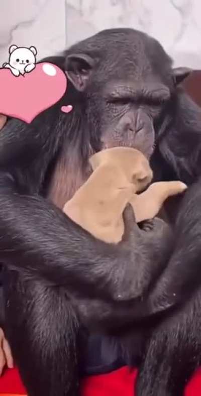 Unconditional love.
