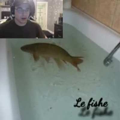 Le fishe