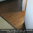 I took my bunny on a business trip to a hotel a few years ago. He couldn't wait to show his bear the room.
