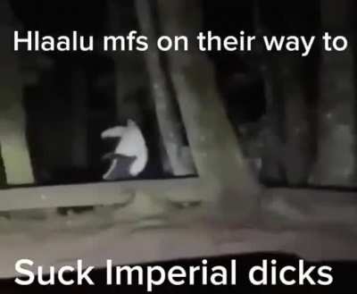Hlaalu 