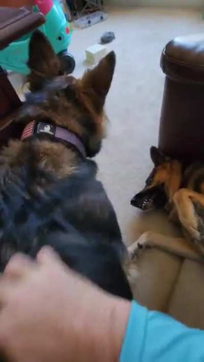 These two...