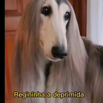 os brabo.