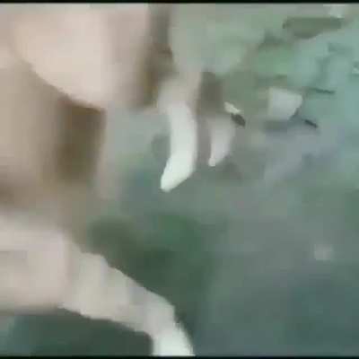 MAMAAAAA