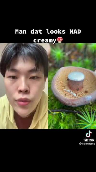 Man that looks mad creamy